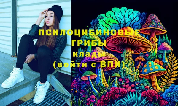 соль ск Алексеевка