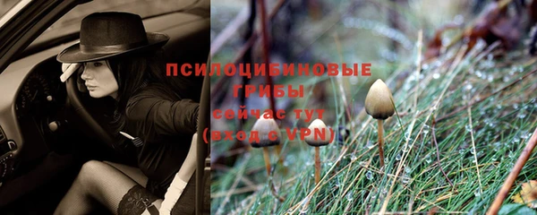 прущий лед Алзамай