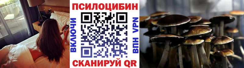 купить закладку  Себеж  маркетплейс наркотические препараты  Галлюциногенные грибы Magic Shrooms 