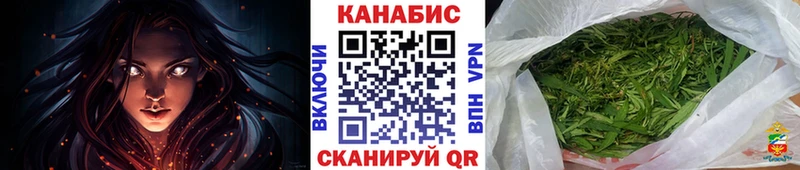 Конопля сатива  Себеж 